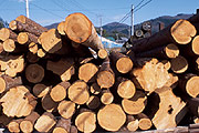 材木の写真